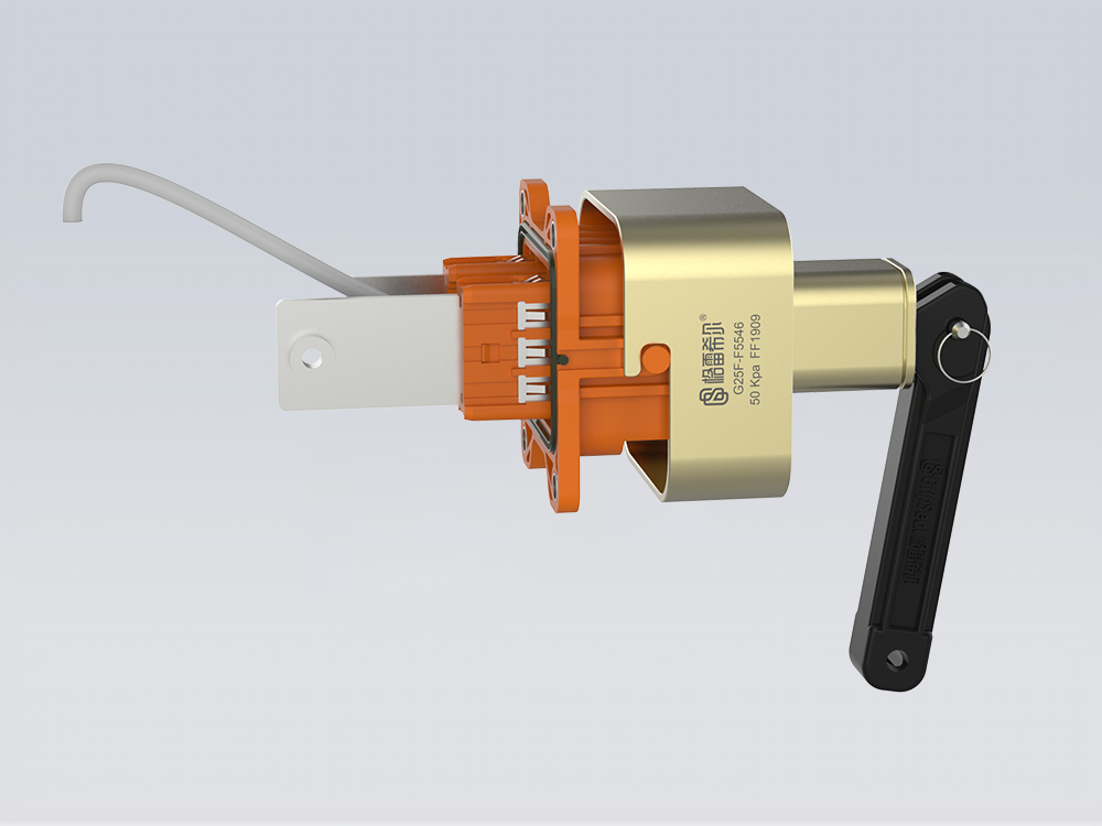 G25F系列格雷?？焖俳宇^